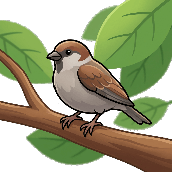 Picture clue