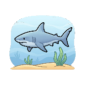 Picture clue