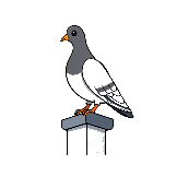 Bildhinweis