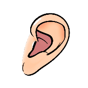 Bildhinweis