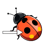 Bildhinweis