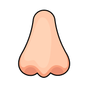 Picture clue