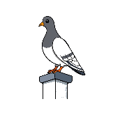 Bildhinweis