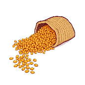 Bildhinweis